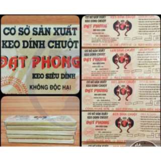 Keo Dính Chuột
